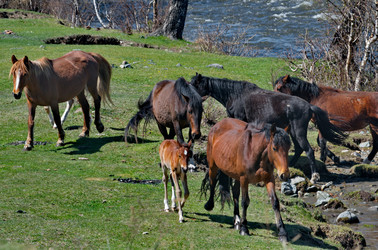 Similar image 22348214