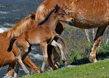 Similar image 22348223