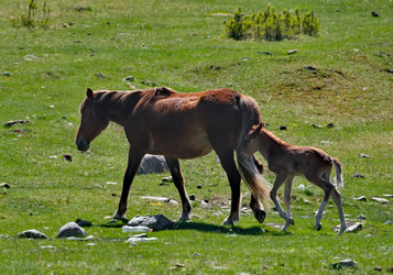 Similar image 22348235