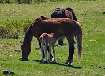 Similar image 22348238