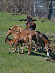 Similar image 22348241