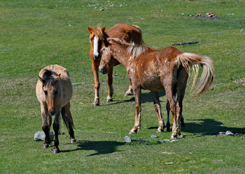 Similar image 22348243