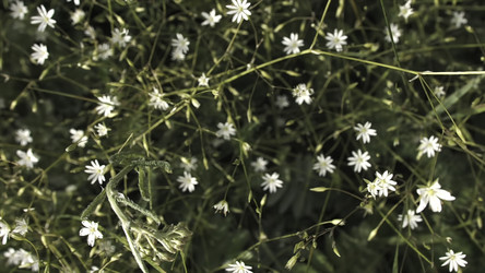 Similar image 22368873