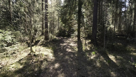 Similar image 22369024