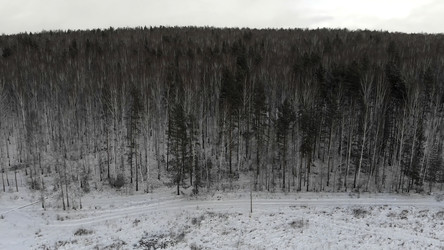 Similar image 22369295