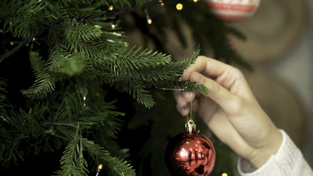 Similar image 22369340