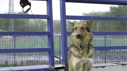 Similar image 22369713