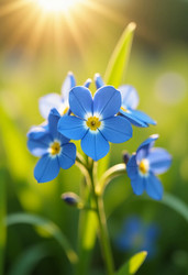 Similar image 22373332