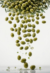 Similar image 22377014