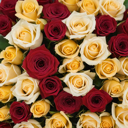 Similar image 22390863