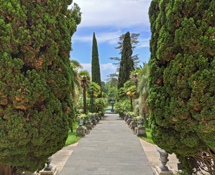 Similar image 22362576