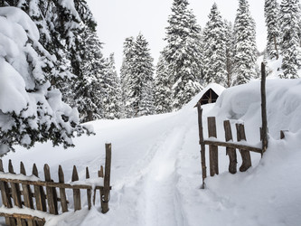 Similar image 22362584