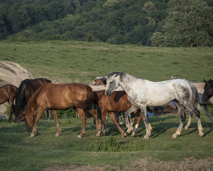 Similar image 22362585