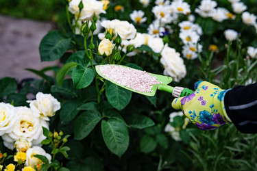 Similar image 22354923