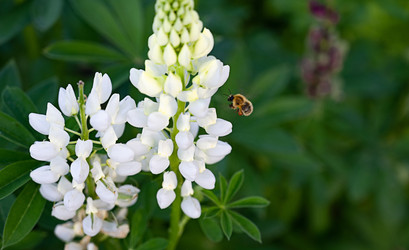 Similar image 22354924