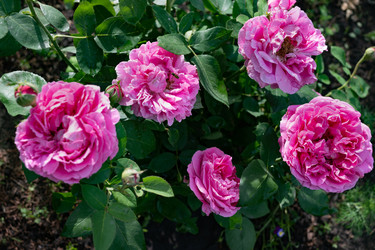 Similar image 22354925