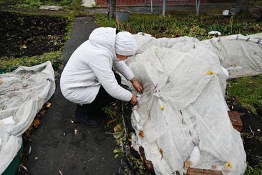 Similar image 22354929