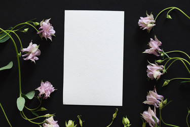 Similar image 22354934