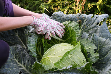 Similar image 22354935