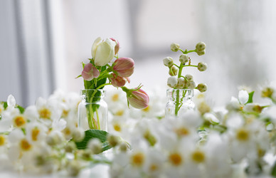 Similar image 22354938