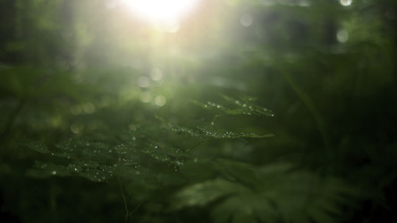 Similar image 22368363