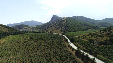 Similar image 22368498