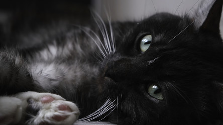 Similar image 22368632