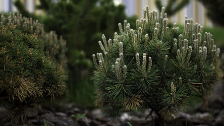 Similar image 22368875