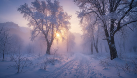 Similar image 22354399