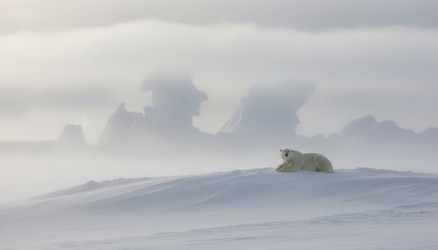 Similar image 22367500