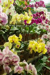 Similar image 22351129