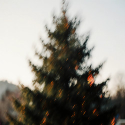 Similar image 22377030