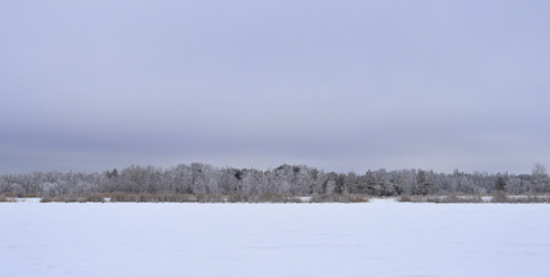 Similar image 22350481