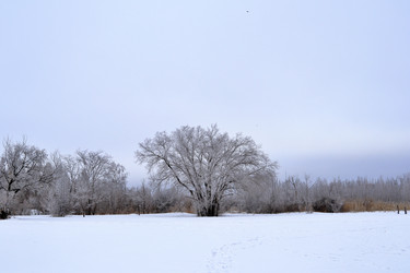 Similar image 22350482