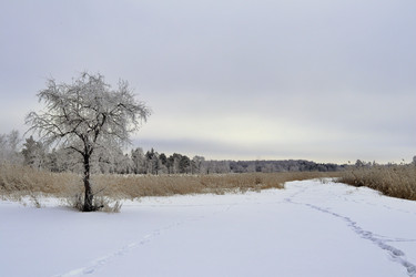 Similar image 22350484