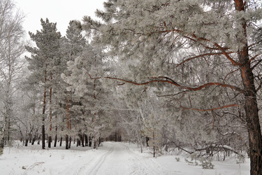 Similar image 22350486