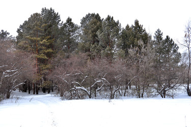 Similar image 22350487