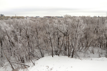 Similar image 22350490