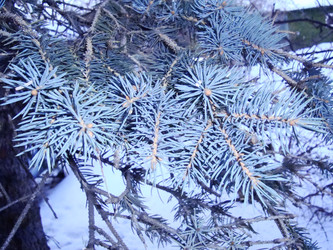 Similar image 22348451