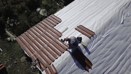 Similar image 22369519