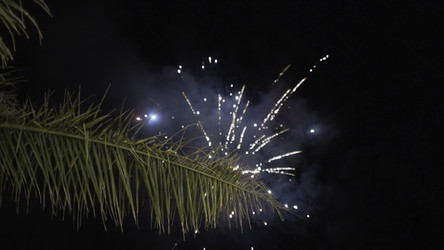 Similar image 22369879