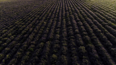 Similar image 22369909