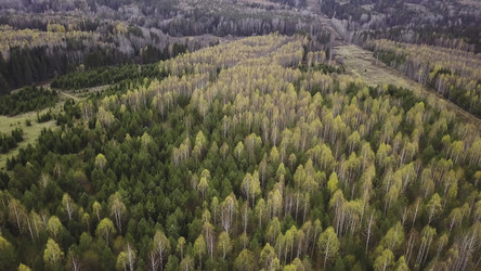 Similar image 22369950