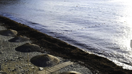 Similar image 22370010