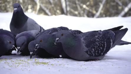 Similar image 22370054