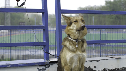 Similar image 22370278