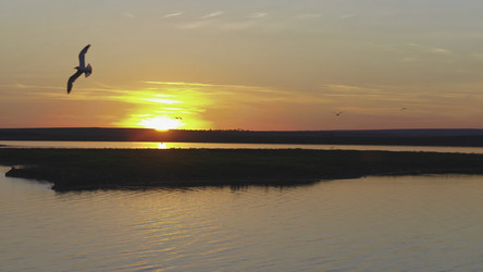 Similar image 22370308