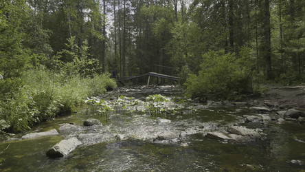 Similar image 22370323