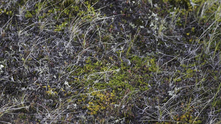 Similar image 22370442