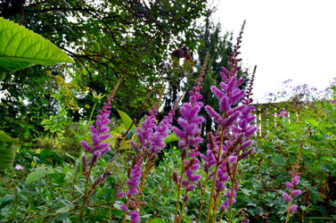 Similar image 22348343